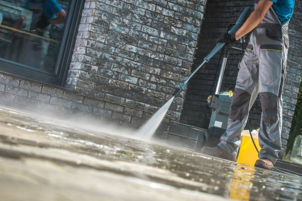 Best Animal Enclosure Cleaning  in Big Sandy, TX